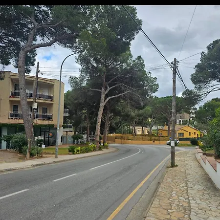 Standar Cerca De La Playa Girona