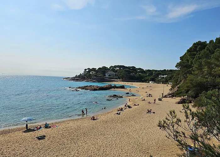 Standar Cerca De La Playa Girona